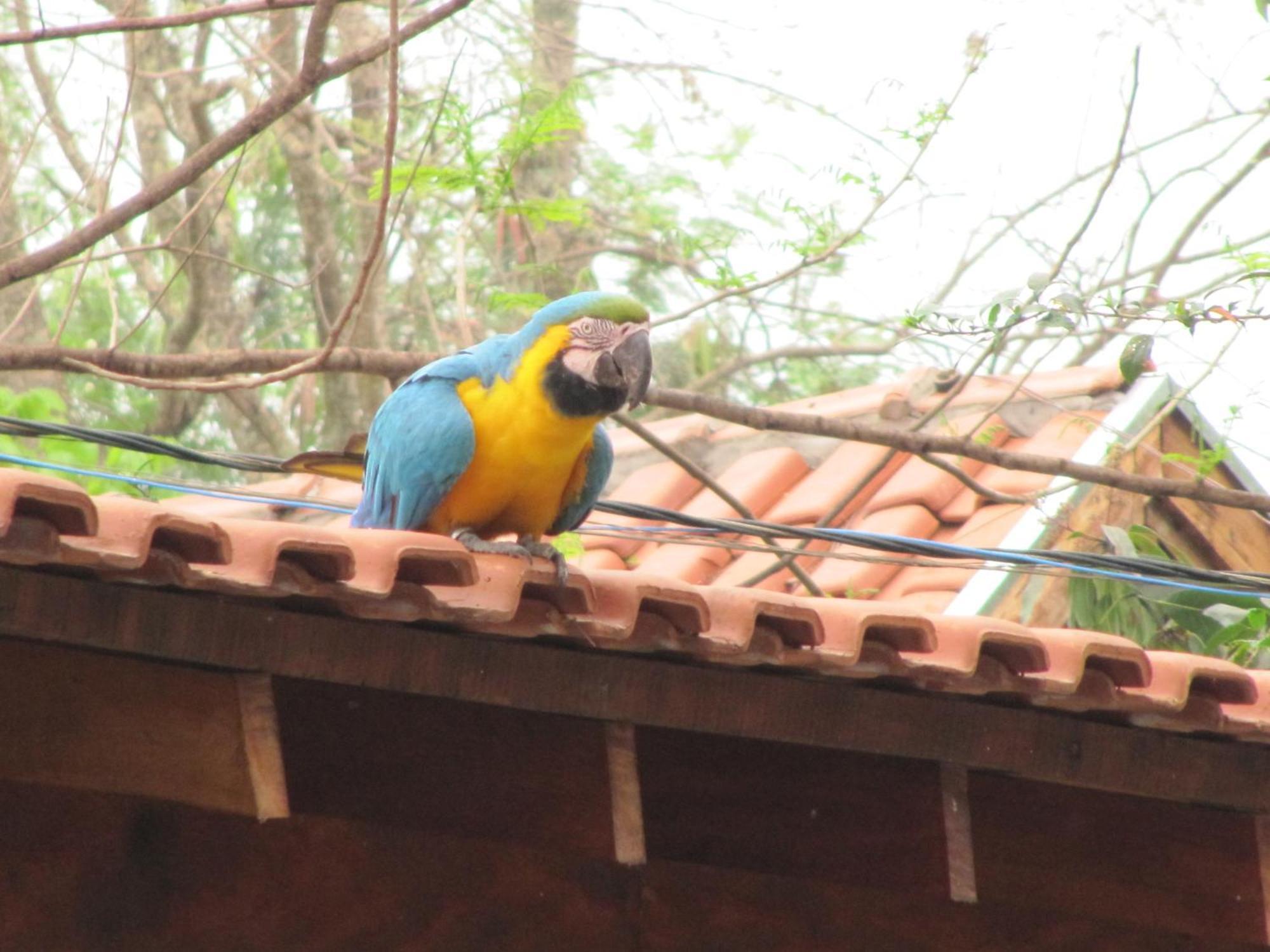 Eco Pousada Villa Verde Bonito  Luaran gambar