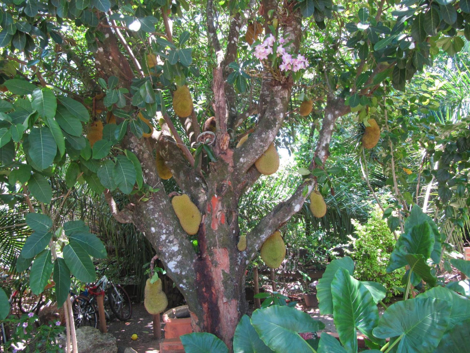 Eco Pousada Villa Verde Bonito  Luaran gambar